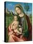 Madonna and Child, c.1510-Giovanni Bellini-Stretched Canvas