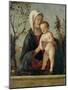 Madonna and Child, C.1510-Marco Basaiti-Mounted Giclee Print