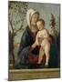 Madonna and Child, C.1510-Marco Basaiti-Mounted Giclee Print