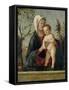 Madonna and Child, C.1510-Marco Basaiti-Framed Stretched Canvas