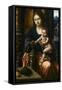 Madonna and Child, C.1520-30-null-Framed Stretched Canvas