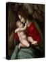 Madonna and Child, c.1520-Francesco Ubertini Verdi Bachiacca-Stretched Canvas