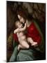 Madonna and Child, c.1520-Francesco Ubertini Verdi Bachiacca-Mounted Giclee Print