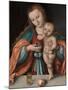 Madonna and Child, c.1535-Lucas, The Elder Cranach-Mounted Giclee Print