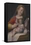 Madonna and Child, C.1580-85-Barbara Longhi-Framed Stretched Canvas