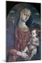 Madonna and Child, C1450-1495-Matteo di Giovanni-Mounted Giclee Print