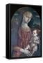 Madonna and Child, C1450-1495-Matteo di Giovanni-Framed Stretched Canvas