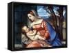 Madonna and Child, C1510-Titian (Tiziano Vecelli)-Framed Stretched Canvas
