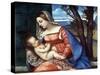 Madonna and Child, C1510-Titian (Tiziano Vecelli)-Stretched Canvas