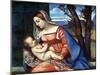 Madonna and Child, C1510-Titian (Tiziano Vecelli)-Mounted Giclee Print