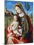 Madonna and Child, C1510-null-Mounted Giclee Print