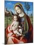 Madonna and Child, C1510-null-Mounted Giclee Print