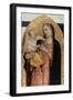 Madonna and Child, Ca 1335-Maso Di Banco-Framed Giclee Print