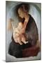 Madonna and Child, Ca 1498-null-Mounted Giclee Print