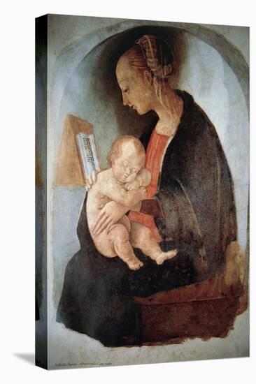 Madonna and Child, Ca 1498-null-Stretched Canvas