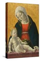 Madonna and Child, circa 1460-1470 (Tempera and Gold Leaf on Panel)-Vincenzo Foppa-Stretched Canvas