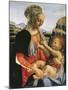 Madonna and Child, Circa 1470-Andrea del Verrocchio-Mounted Giclee Print