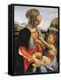 Madonna and Child, Circa 1470-Andrea del Verrocchio-Framed Stretched Canvas