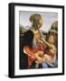 Madonna and Child, Circa 1470-Andrea del Verrocchio-Framed Giclee Print