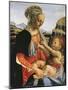 Madonna and Child, Circa 1470-Andrea del Verrocchio-Mounted Giclee Print