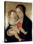 Madonna and Child, circa 1475-Giovanni Bellini-Stretched Canvas