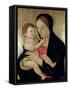 Madonna and Child, circa 1475-Giovanni Bellini-Framed Stretched Canvas