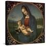 Madonna and Child (Conestabile Madonna)-Raphael-Stretched Canvas