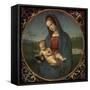 Madonna and Child (Conestabile Madonna)-Raphael-Framed Stretched Canvas