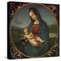 Madonna and Child (Conestabile Madonna)-Raphael-Stretched Canvas
