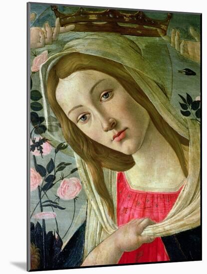 Madonna and Child Crowned by Angels, Detail of the Madonna-Sandro Botticelli-Mounted Giclee Print