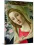 Madonna and Child Crowned by Angels, Detail of the Madonna-Sandro Botticelli-Mounted Giclee Print