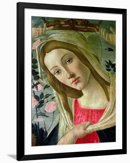 Madonna and Child Crowned by Angels, Detail of the Madonna-Sandro Botticelli-Framed Giclee Print