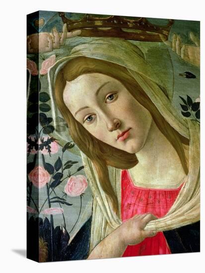 Madonna and Child Crowned by Angels, Detail of the Madonna-Sandro Botticelli-Stretched Canvas