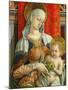 Madonna and Child, Detail from the Sant'Emidio Polyptych, 1473-Carlo Crivelli-Mounted Giclee Print