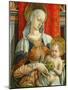 Madonna and Child, Detail from the Sant'Emidio Polyptych, 1473-Carlo Crivelli-Mounted Giclee Print
