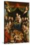 Madonna and Child Enthroned with Saints and Donors, 1552-Bernardino Lanino-Stretched Canvas