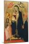 Madonna and Child Enthroned with Saints-Agnolo Gaddi-Mounted Giclee Print
