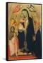 Madonna and Child Enthroned with Saints-Agnolo Gaddi-Framed Stretched Canvas