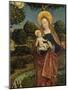 Madonna and Child in a Landscape, 1470 (Tempera on Panel)-German School-Mounted Giclee Print
