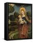 Madonna and Child in a Landscape, 1470 (Tempera on Panel)-German School-Framed Stretched Canvas