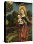 Madonna and Child in a Landscape, 1470 (Tempera on Panel)-German School-Stretched Canvas