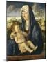 Madonna and Child in a Landscape, C.1490-1500-Giovanni Bellini-Mounted Giclee Print