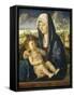 Madonna and Child in a Landscape, C.1490-1500-Giovanni Bellini-Framed Stretched Canvas