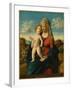 Madonna and Child in a Landscape, c.1496-1499-Giovanni Battista Cima Da Conegliano-Framed Giclee Print