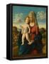 Madonna and Child in a Landscape, c.1496-1499-Giovanni Battista Cima Da Conegliano-Framed Stretched Canvas
