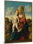 Madonna and Child in a Landscape, c.1496-1499-Giovanni Battista Cima Da Conegliano-Mounted Giclee Print