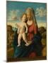 Madonna and Child in a Landscape, c.1496-1499-Giovanni Battista Cima Da Conegliano-Mounted Giclee Print