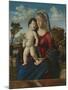 Madonna and Child in a Landscape, c.1496-99-Giovanni Battista Cima Da Conegliano-Mounted Giclee Print