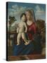 Madonna and Child in a Landscape, c.1496-99-Giovanni Battista Cima Da Conegliano-Stretched Canvas