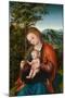 Madonna and Child in a Landscape, c.1518-Lucas, The Elder Cranach-Mounted Giclee Print